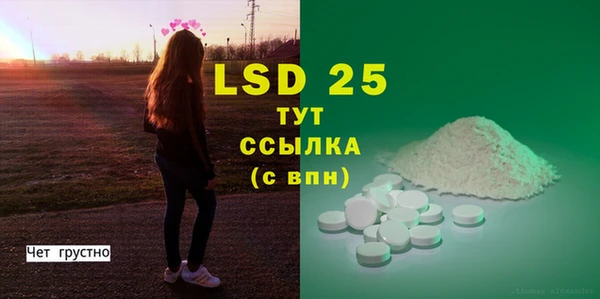 СК Елабуга