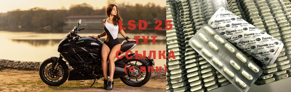 СК Елабуга